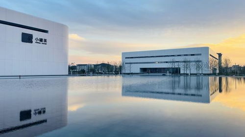 跨越时空的茶 文化名片走向世界 助力乡村振兴与项目经营