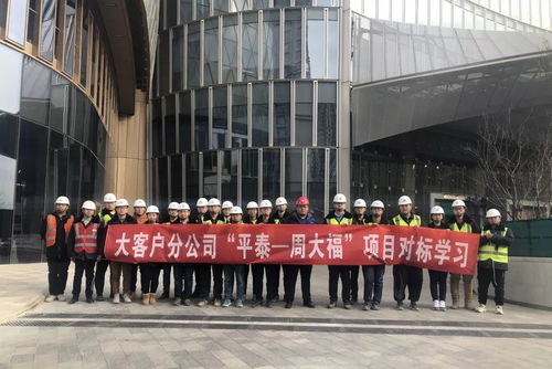 冬日里的活力交响 项目运营中的学习、演练与迎检热潮