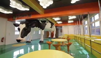 消费转型新引擎 旅游文创如何成为“魔法”般的运动项目经营利器